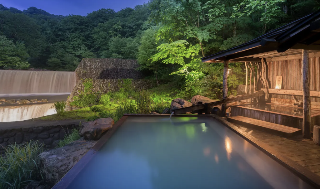 Beautiful hot springs surrounded by trees